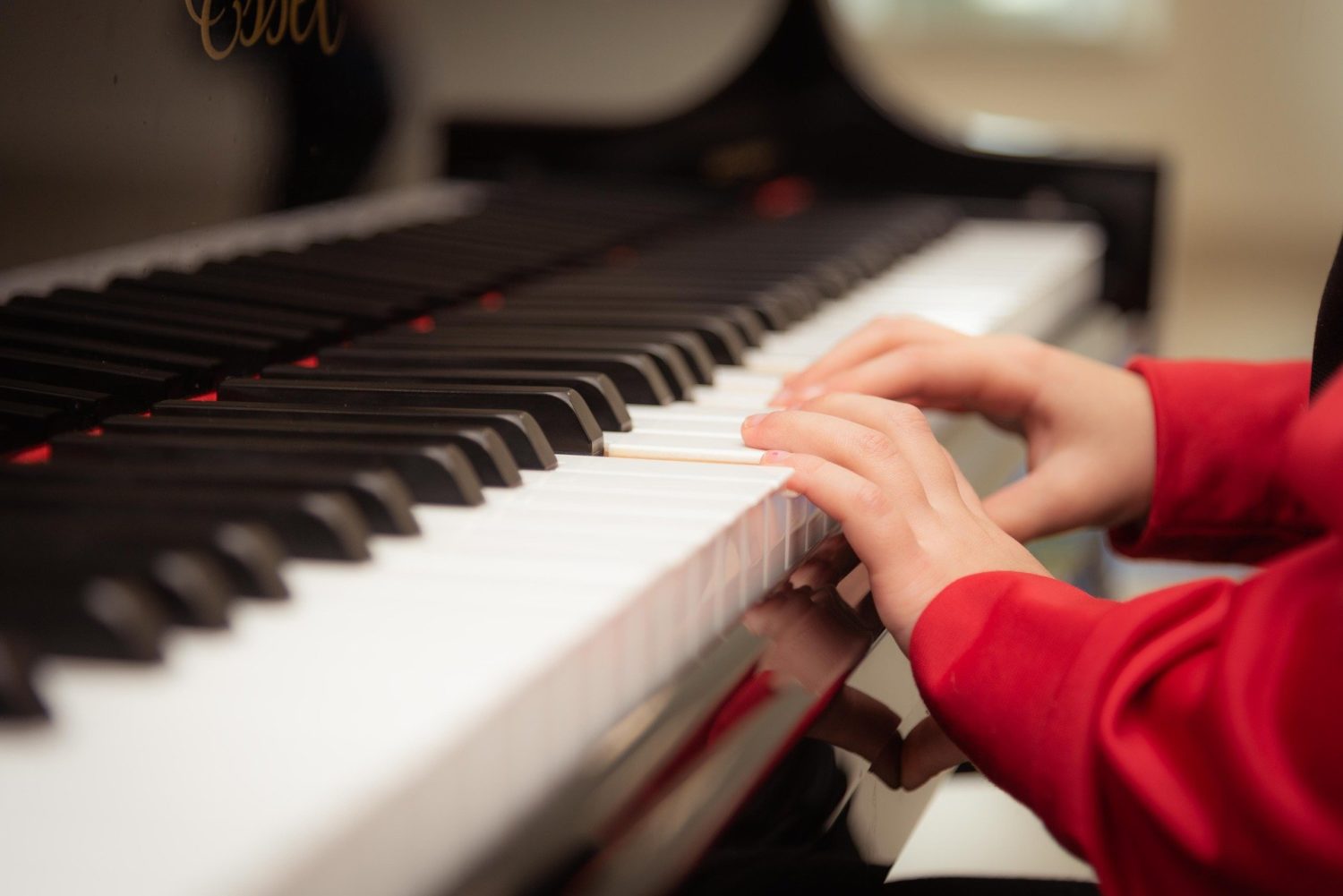 5 Pasos Para Aprender A Tocar El Piano Alerta Digital