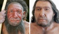 La fotografía muestra dos reconstrucciones de Hombres de Neanderthal del museo Neanderthal de Mettmann, en Bonn, Alemania.